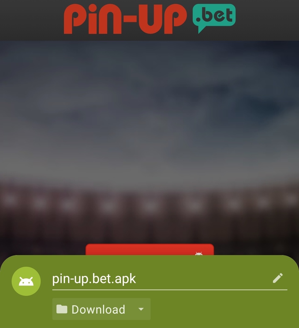 Пин Ап - скачать мобильное приложение для ставок на спорт